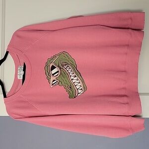 Wildfox Sweatshirt 🩷